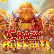 CRAZY BUFFALOFachai game cover